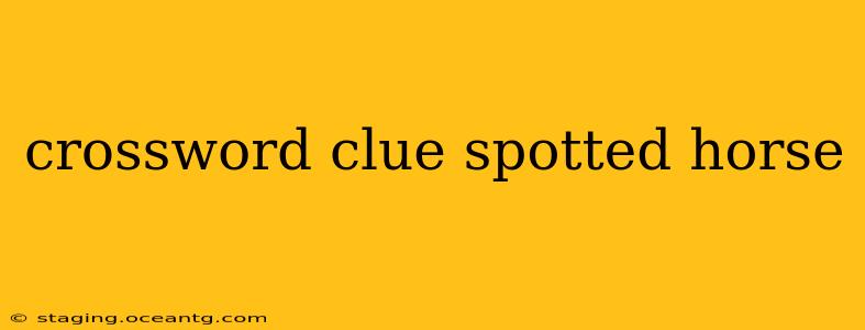 crossword clue spotted horse