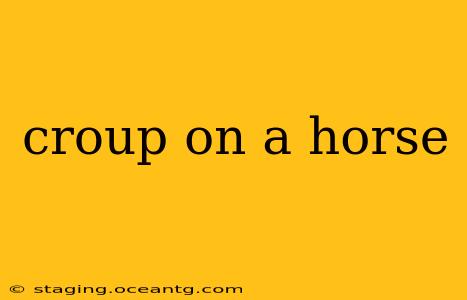 croup on a horse