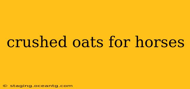 crushed oats for horses