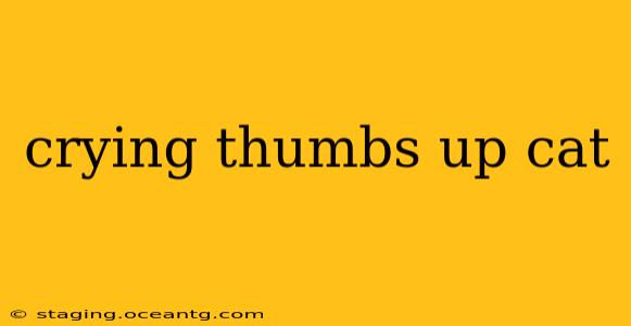 crying thumbs up cat
