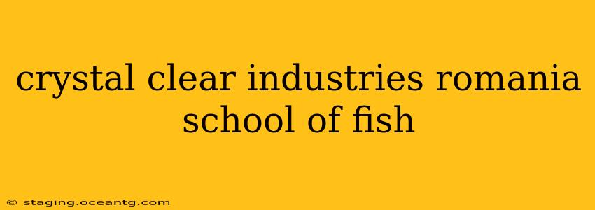 crystal clear industries romania school of fish