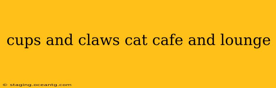 cups and claws cat cafe and lounge