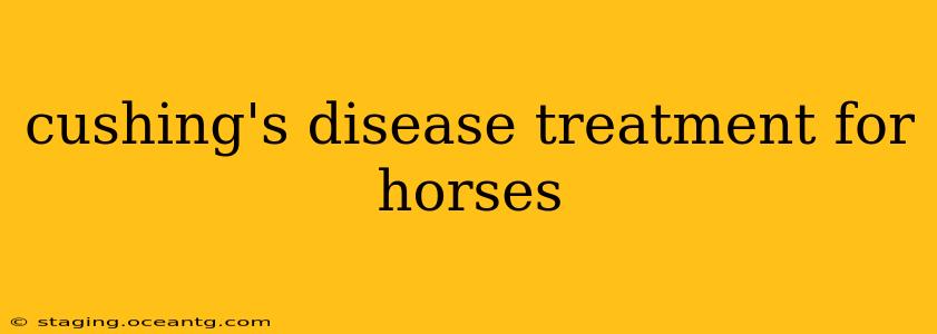 cushing's disease treatment for horses