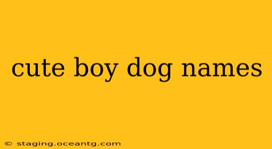 cute boy dog names