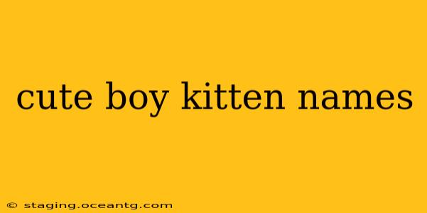 cute boy kitten names