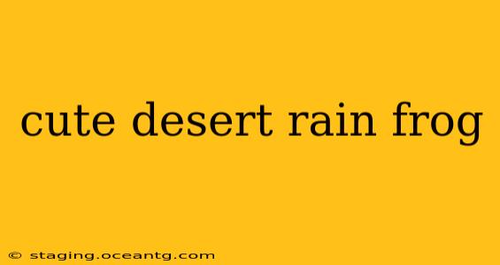 cute desert rain frog
