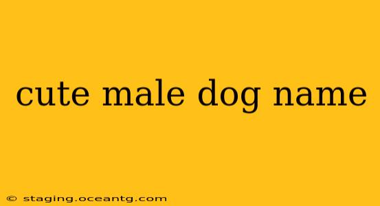 cute male dog name