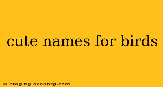 cute names for birds