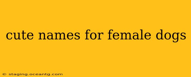 cute names for female dogs