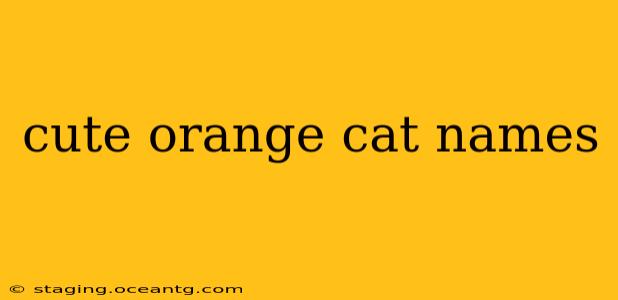 cute orange cat names