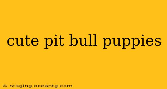 cute pit bull puppies