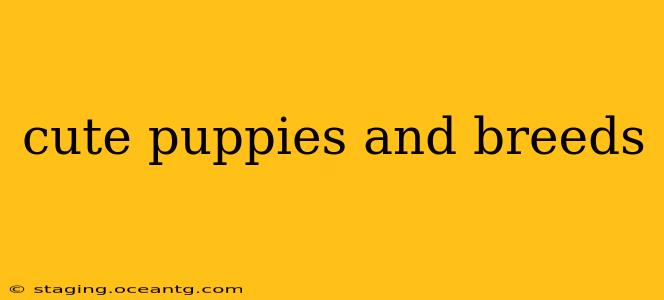 cute puppies and breeds