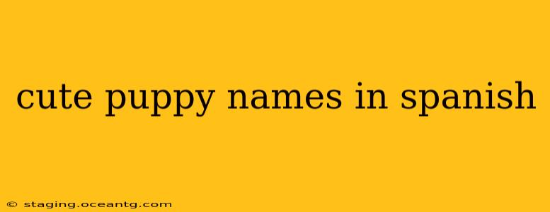 cute puppy names in spanish
