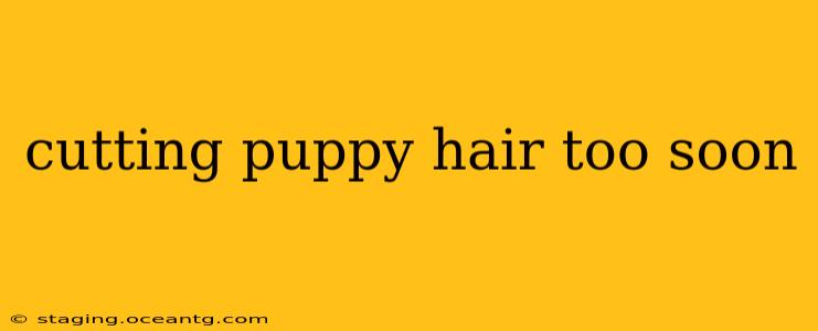 cutting puppy hair too soon