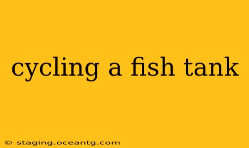 cycling a fish tank