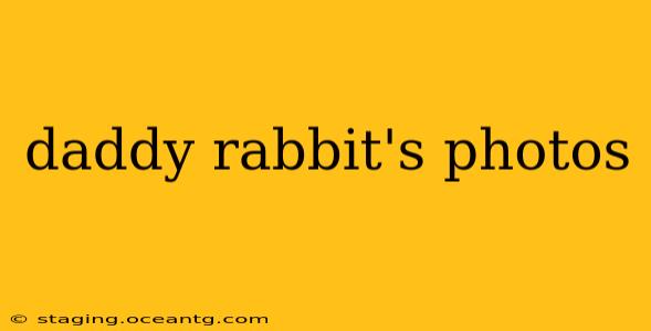 daddy rabbit's photos