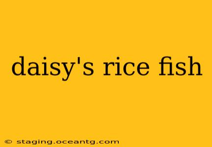 daisy's rice fish