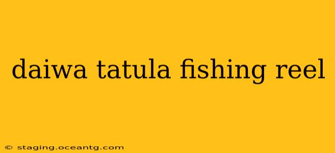 daiwa tatula fishing reel