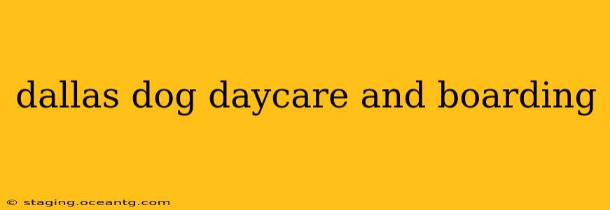 dallas dog daycare and boarding