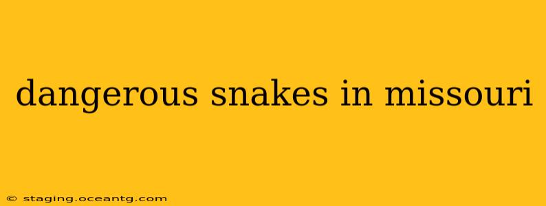 dangerous snakes in missouri