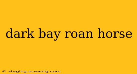 dark bay roan horse