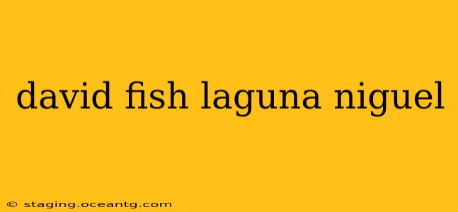 david fish laguna niguel