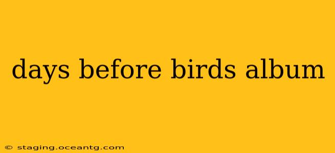 days before birds album