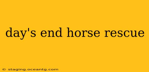 day's end horse rescue