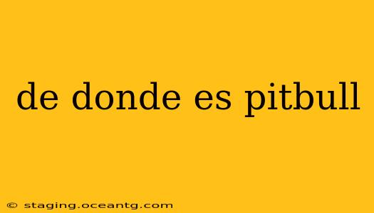 de donde es pitbull