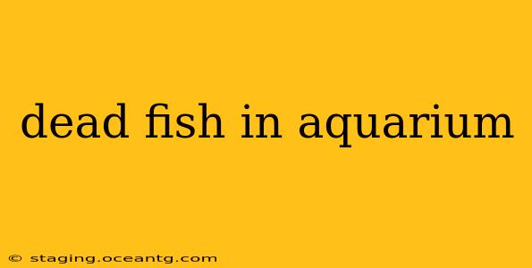 dead fish in aquarium