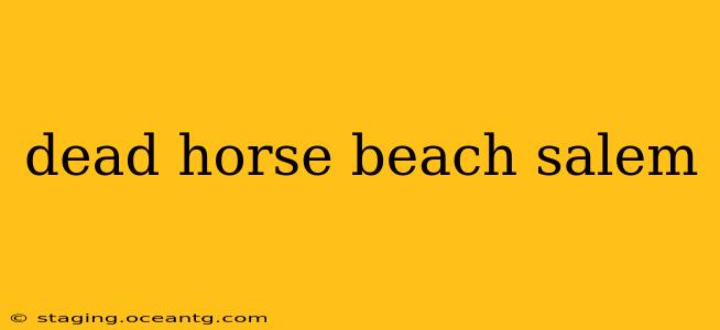 dead horse beach salem