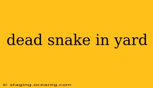 dead snake in yard