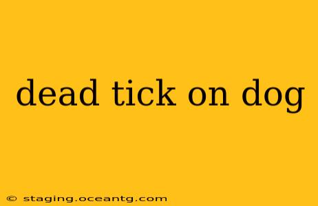 dead tick on dog