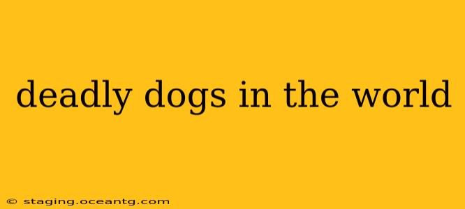 deadly dogs in the world