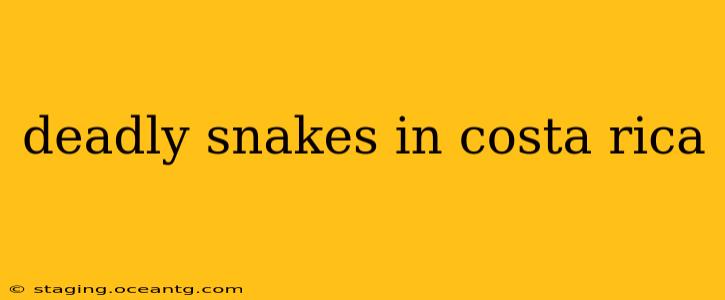 deadly snakes in costa rica