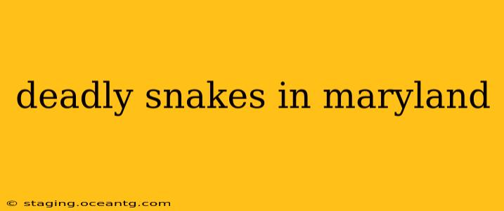 deadly snakes in maryland