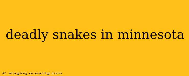 deadly snakes in minnesota
