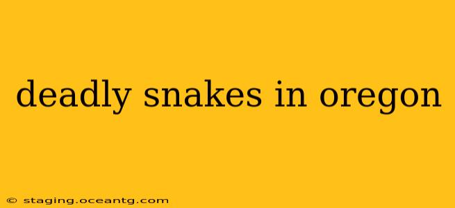 deadly snakes in oregon
