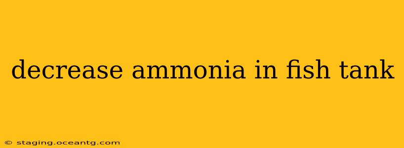 decrease ammonia in fish tank
