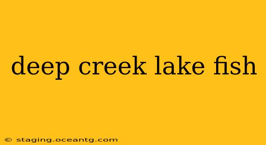 deep creek lake fish