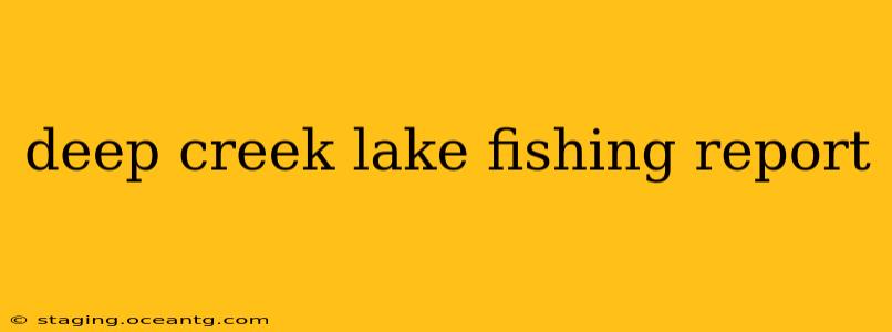 deep creek lake fishing report