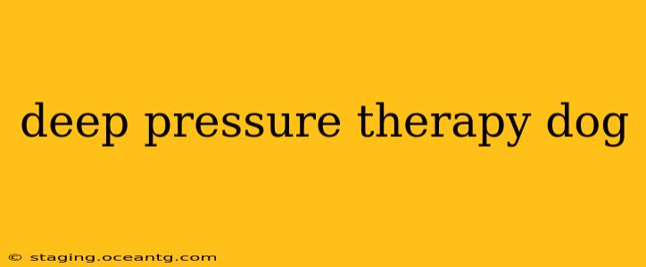deep pressure therapy dog
