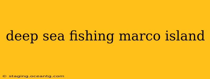 deep sea fishing marco island