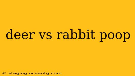 deer vs rabbit poop