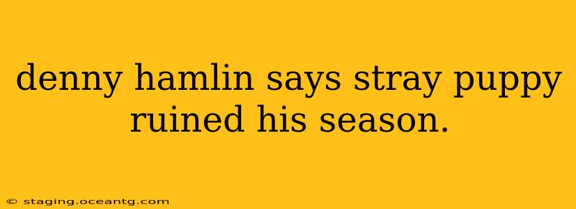 denny hamlin says stray puppy ruined his season.
