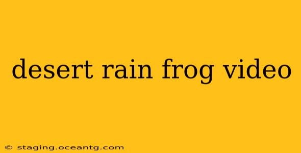 desert rain frog video