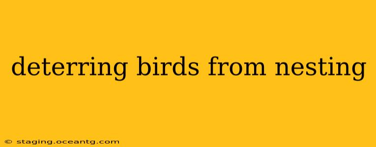 deterring birds from nesting