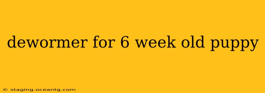 dewormer for 6 week old puppy