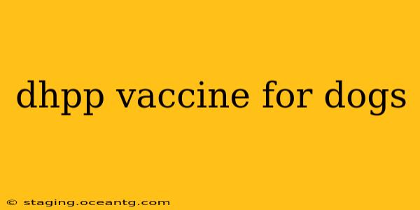 dhpp vaccine for dogs