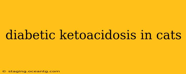 diabetic ketoacidosis in cats